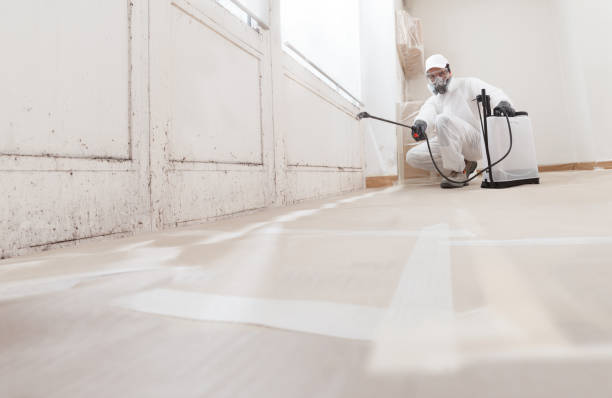 24/7 Emergency Mold Removal experts in Columbus, TX